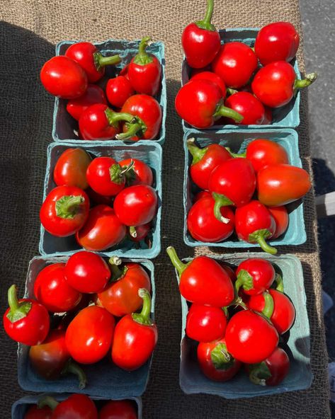 What Are Cherry Peppers and How Hot Are They? | The Kitchn How To Store Cherries, Cherry Pepper Recipes, Cherry Bomb Pepper, Italian Cherries, Cherry Peppers, Peppadew Peppers, Pickled Cherries, Salmon Potato, Sweet Bell Peppers