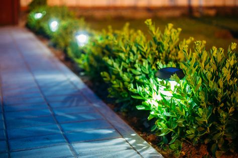 The possibilities for outdoor lighting are endless, and we believe that designing your outdoor living spaces should be just as important as interior design. Front Yard Lighting, Path Lighting, Best Solar Lights, Landscape Lighting Design, Solar Landscape Lighting, Solar Landscape, Walkway Lights, Yard Lights, Backyard Lighting