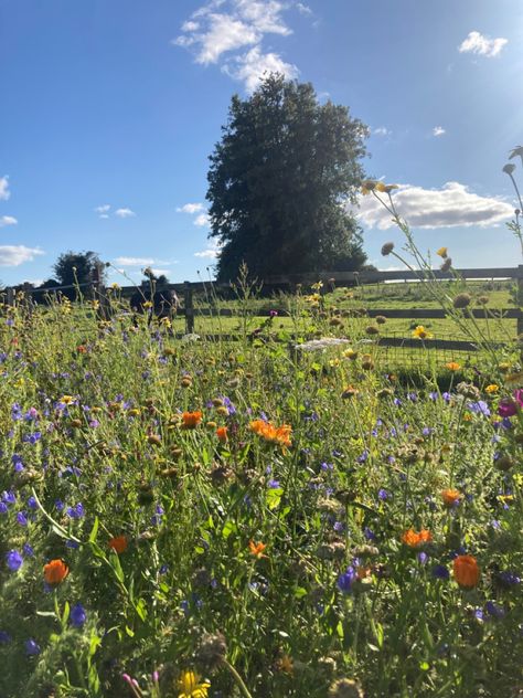 Irish Countryside Aesthetic, Irish Summer Aesthetic, Ireland Garden, Community Aesthetic, Irish Aesthetic, March Moodboard, Ireland Countryside, Future Moodboard, Take Me To The Lakes