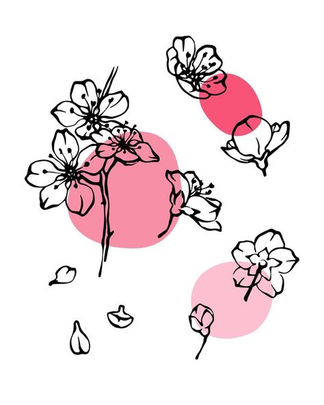 Cherry blossom black and white line art with abstrat pink color spots, sakura vector illustration Japanese Cherry Blossom Illustration, Cherry Blossom Graphic Design, Cherry Blossom Graphic, Sakura Blossoms Aesthetic, Sakura Flower Drawing, Tokyo Moodboard, Japanese Sakura Art, Cherry Blossom Line Art, Sakura Flower Illustration