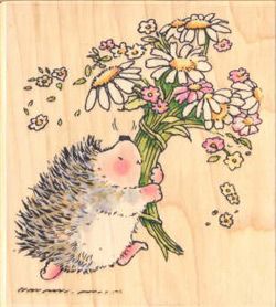 Hedgehog Drawing, Hedgehog Illustration, Penny Black Cards, Penny Black Stamps, Hedgehog Art, Cute Hedgehog, Penny Black, Watercolor Cards, Whimsical Art