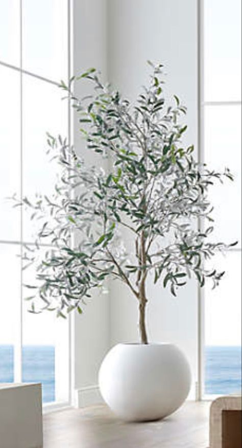 Sarah Thompson, Indoor Olive Tree, Corner Cupboards, Scandi Living Room, Indoor Tree, Corner Plant, Faux Olive Tree, Minimalist Garden, Indoor Trees