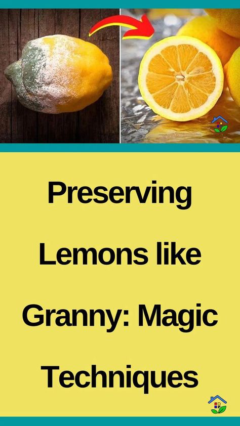 Embrace Granny’s age-old wisdom and savor the tangy essence of preserved lemons with these 4 delightful techniques – a surefire way to elevate your culinary experiences Lemons, the zesty superheroes of the fruit kingdom! They may have a strong taste, but hey, who said being bold was a bad thing? These citrus champs are like […] Preserving Lemons, Preserve Lemons, Preserved Lemons, The Fruit, Who Said, A Bad, Essence, Fruit