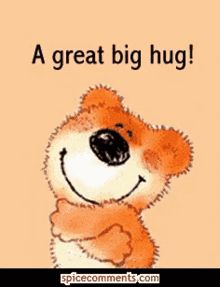 Virtual Hug Gif, Big Hug Gif, Hug Friendship, Big Hugs For You, Hug Pictures, Hug Images, Teddy Bear Hug, Hug Gif, Bear Gif