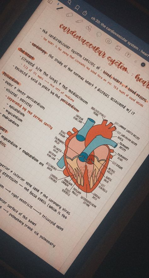 Notes On The Heart, Anatomy Digital Notes, Heart Notes Anatomy, Cardiovascular System Notes Aesthetic, Biology Notes Ipad, Cardiovascular System Notes, Anatomy Notes Aesthetic, Biology Notes Aesthetic, Medical Electronics