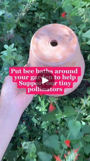 37K views · 261 reactions | Help our bee friends stay hydrated with a bee hydration station. I popped a saucer on top of a pot. Add some small rocks into the saucer. This gives the bees something to stand on. Add a bit of water, and place in the shade near your flowers. Wine corks also work well! Fun to watch the bees float around. Top up water everyday and give it a clean once a week 🐝❤️🌺. #lovebees #beekeeping #gardeningtips #flowerlovers #viralreelsfb | Growwithnith | Growwithnith · Original audio Flowers Wine, Bee Hotel, Hydration Station, Wine Corks, Wine Cork, Stay Hydrated, Bee Keeping, Gardening Tips, Garden Ideas