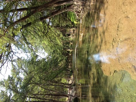 Leakey,Texas  The most relaxing get away Leakey Texas, Texas Getaways, Frio River, Texas Landscape, Texas Forever, Loving Texas, Lake Vacation, Canyon Lake, Texas Girl