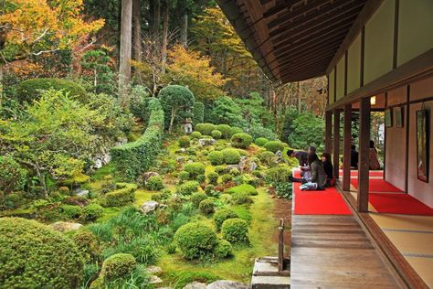 Luxury Ryokan Kyoto #1 - Japanese Ryokan Seryo 2 Ryokan Kyoto, Japanese Ryokan, Japan Travel Guide, Rest And Relaxation, Traditional Japanese, Japan Travel, Thing 1 Thing 2, Japanese Traditional, Kyoto