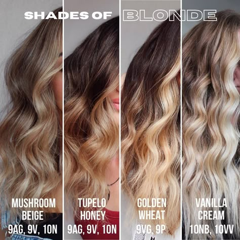 Balayage | Educator on Instagram: “SAVE THIS for blonde colour inspo! @redken #shadeseq edition! ⚠️2nd formula correction: Tupelo Honey is VG, not AG Formulating is my…” Shades Eq Ag Formulas, Redken Shades Eq Formulas Nb, Gold Shades Eq Formula, Fall Blonde Redken Formula, Redken Balayage Formula, Honey Shades Eq Formula, Warm Blonde Shades Eq Formula, Blonde Toners, Blonde Formulas