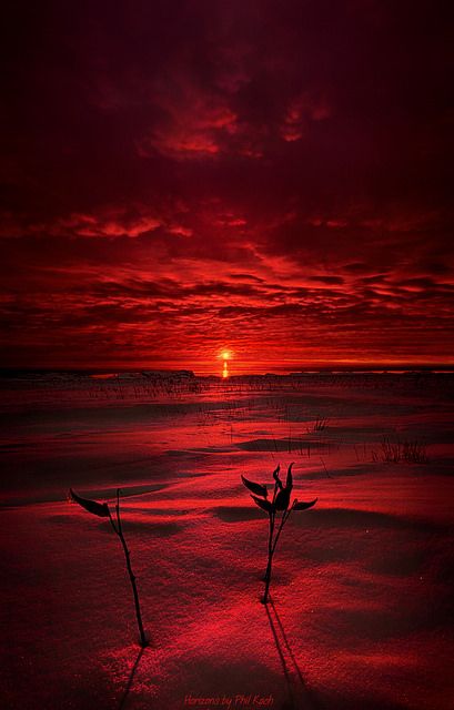 "Go To Sleep Little Angels "  Horizons by Phil Koch. Lives in Milwaukee, Wisconsin, USA. phil-koch.artistwebsites.com www.facebook.com/WisconsinHorizons plus.google.com/u/0/111691139132777355111/posts Red Sea Aesthetic, Red Jellyfish, Zoom Wallpaper, Color Healing, Red Wallpaper, Root Chakra, Beautiful Sky, Red Aesthetic, Beautiful Sunset