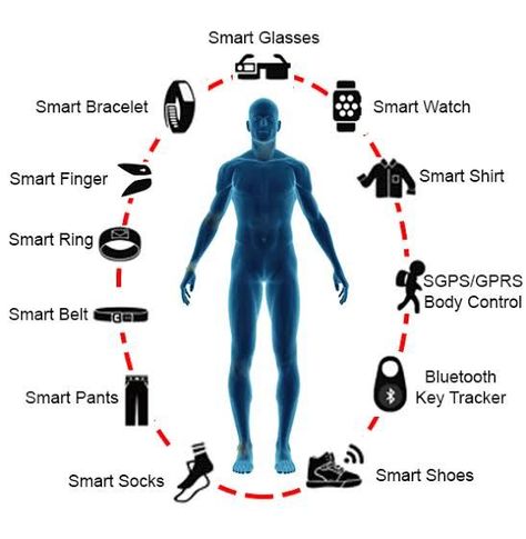 Smart Clothing Technology, Future Healthcare, Wearable Gadgets, Health Application, Wearable Electronics, Scientific Diagram, App Development Services, Health Tech, Positive Body Image