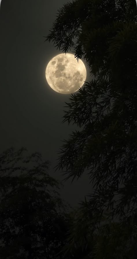 Blue Moon Photography, The Moon Is Beautiful, Sky Photography Nature, Dark Nature, Night Scenery, Dark Nature Aesthetic, Moon Photography, Pretty Landscapes, Sky Photos