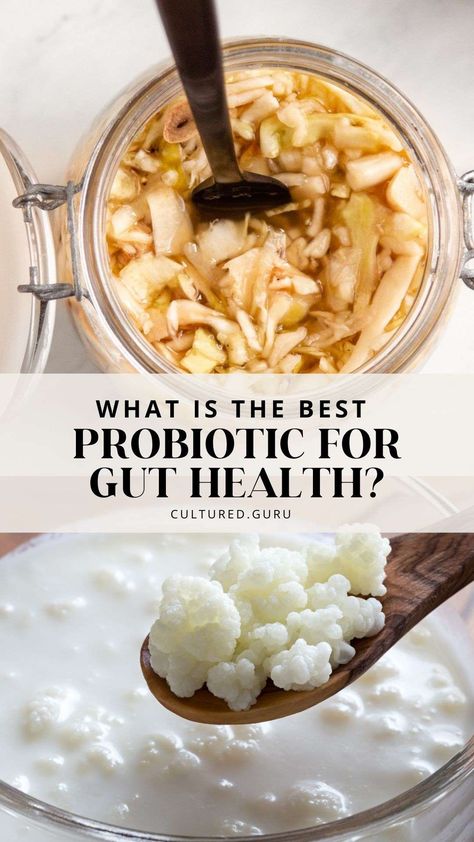 What is the best probiotic to take for gut health? what are probiotics? Is it necessary to buy expensive, special supplements labeled as "probiotic" to introduce these wonderful microbes into your health routine? Check out this blog for all the answers! #guthealth #probiotic #fermentedfoods What Are Probiotics, Best Probiotics, Probiotic Yogurt, Natural Antibiotic, Health Smoothie Recipes, Gut Health Diet, Probiotic Benefits, Gut Health Recipes, Wellness Shots