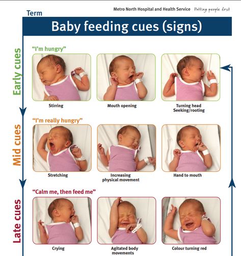 Learn your baby's language and know how to tell when your baby is hungry. Pro tip: anytime your newborn is awake, try to feed from the breast. Feeding Cues, Baby Cues, Baby Charts, Baby Routine, Baby Help, Baby Information, Newborn Baby Tips, Newborn Tips, Newborn Mom