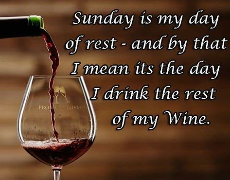 Funny Wine Quotes, Wine Puns, Wine Jokes, Wine Aerators, Wine Funny, Wine Quotes Funny, Sunshine Quotes, Expensive Wine, Sunday Style