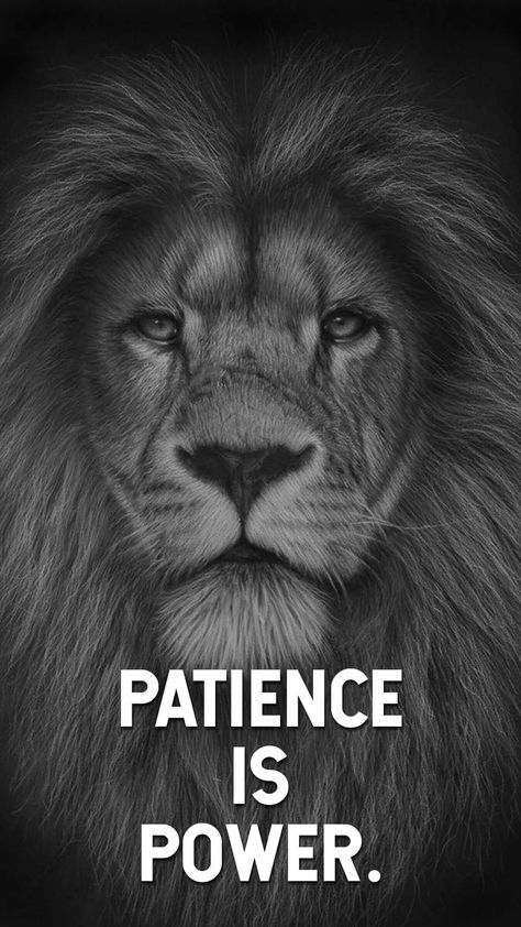 #wallpaper #quotes Patience Is Power Wallpaper, Lion Motivation Quotes, Patience Wallpaper, Sigma Attitude, Patience Is Power, Lion Quote, Powerful Motivational Quotes For Success, Dangerous Quotes, Mafia Quote