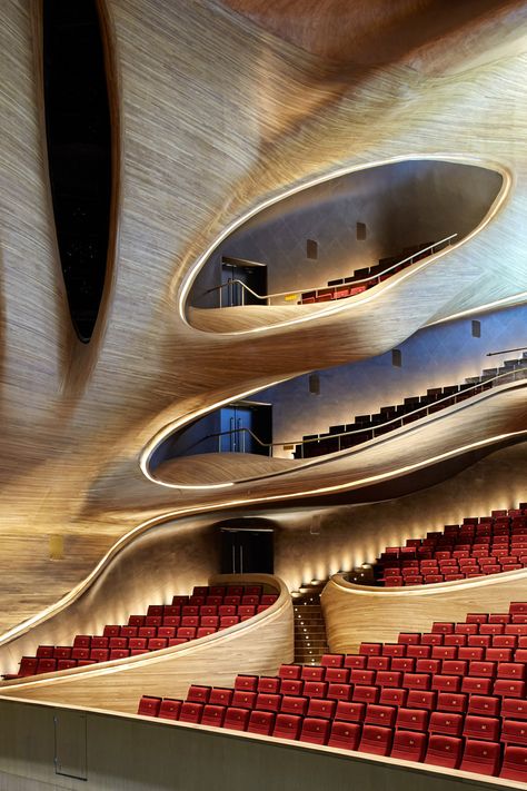 Harbin Opera House, Architecture Cool, Mad Architects, Architecture Unique, Zaha Hadid Architects, Curved Walls, Harbin, Organic Architecture, Design Hotel