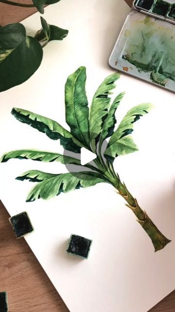 Artist 🎨 on Instagram: "Amazing Banana Tree 🌴 water colour painting ideas for Beginners # Banana Tree # water colour # painting # art work # beautiful painting #Instagram #instgram🎨🖌️" Tree Water Colour, Water Colour Painting Ideas, Colour Painting Ideas, Water Colours Painting For Beginners, Watercolor Banana Tree, Banana Tree Watercolor, Banana Tree Illustration, Banana Plant Painting, Banana Tree Painting