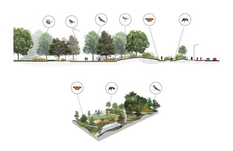 Gallery of A Multidisciplinary Landscape Architecture Competition Generates a Biodiversity Corridor for Montréal  - 15 Biodiversity Diagram, Architecture Folio, Urban Biodiversity, Landscape Architecture Diagram, Linear Park, Architecture Competition, Library Architecture, Protect Nature, Agricultural Land