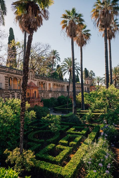 The Alcazar of Seville in Spain (official name Alcázares Reales de Sevilla) – the crowning glory of the capital of Andalusia.It is one of the oldest actively used palaces in the world and one of the most impressive monuments in Spain.If you’re visiting Seville, you simply can’t leave without seeing the Royal Alcazar! Join me on the blog for a short tour! Spain Seville, Seville Aesthetic, Seville Spain Aesthetic, Andalucia Aesthetic, Sevilla Aesthetic, Sevilla Spain Aesthetic, Seville Spain Architecture, Seville Spain Travel, Seville Alcazar