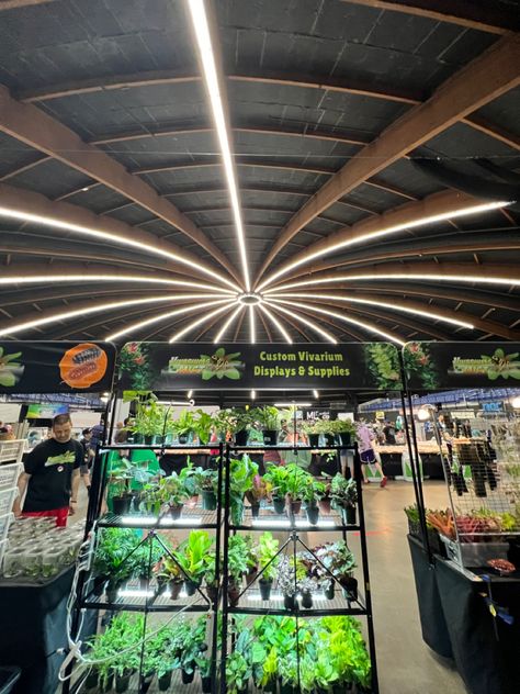 View of the awesome ceiling at the REXPO venue. Vivarium, Ceiling