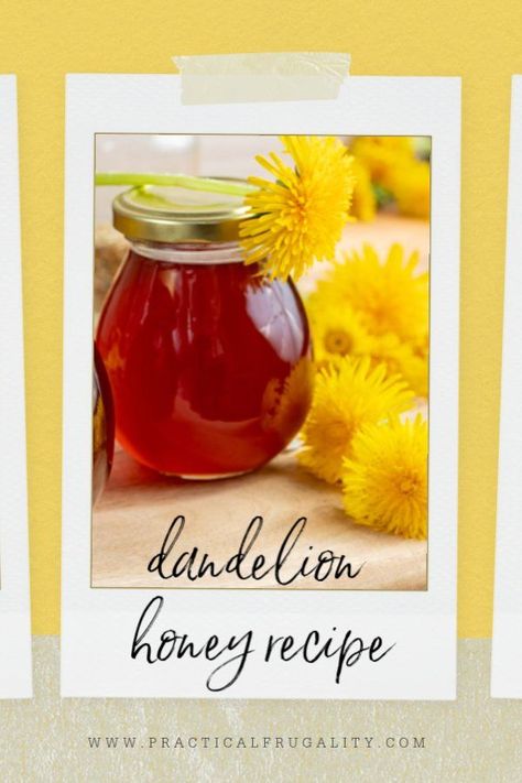 Dandelion Honey Recipe, Dandelion Honey, Small Jam Jars, Farm Orchard, Lemon Infused Water, Dandelion Flowers, Lemon Health Benefits, Foraging Recipes, Dandelion Jelly