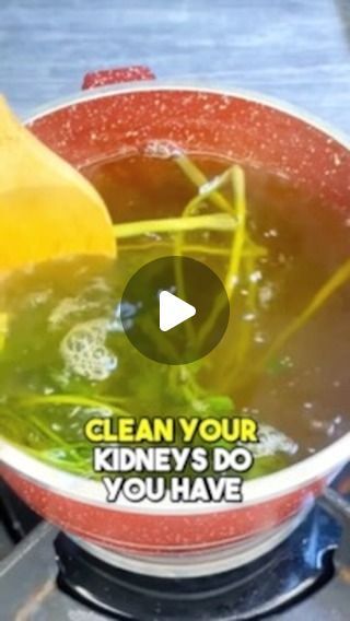 Clean Kidneys, Kidney Pain, Kidney Detox, Healthy Kidneys, Kidney Cleanse, Kidney Diet, Kidney Health, Natural Supplements, Detox Recipes