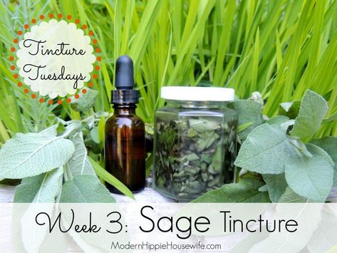 Sage Tincture, Diy Tinctures, Rosemary Tincture, Herb Crafts, Lemon Balm Tincture, Herb Tinctures, Tinctures Recipes, Natural Medicine Cabinet, Sage Tea