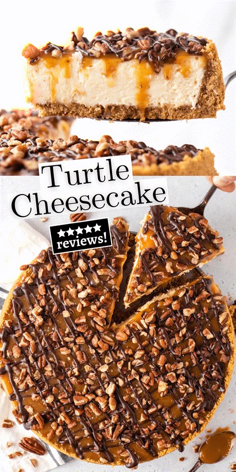 Bakeless Cheesecake Recipes, Turtle Desserts, No Bake Turtle Cheesecake, Chocolate Turtle Cheesecake, Strawberry Cheesecake Cake Recipe, Turtle Cheesecake Recipe, Caramel Chocolate Ganache, Turtle Cheesecake Recipes, Chocolate Turtle