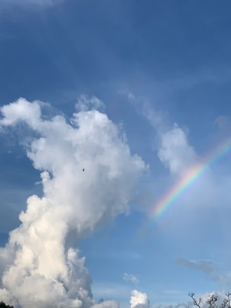 #sky #langit #awan #cloud Dp Whatsapp, Love Rain, Rainbow Cloud, Beautiful Sky, Sky Aesthetic, Color Scheme, Blue Sky, Color Schemes, Berry