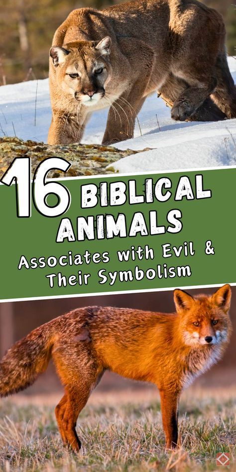 The Bible links certain animals with evil symbolism, such as serpents, wolves, and scorpions, each representing unique spiritual lessons. This guide explores 16 animals that embody concepts like deception, pride, and danger, providing insights into their roles in scripture. Save this pin for a deeper look at the animals associated with evil in the Bible and their meanings. Christian Symbols And Meanings, Animals In The Bible, Donkey Images, Positive Symbols, Spiritual Lessons, Snake Images, Revelation 22, The Garden Of Eden, Dangerous Animals