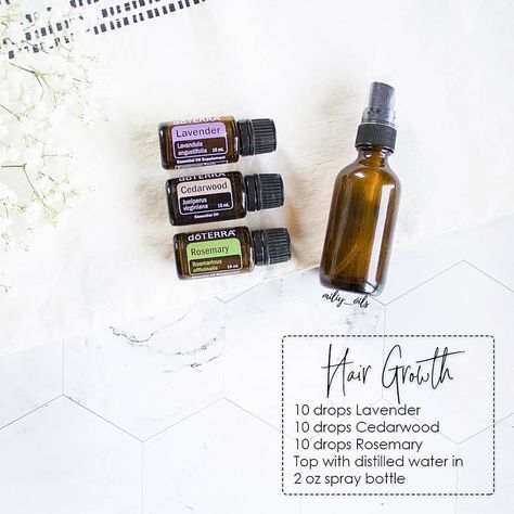 doTERRA oils 🌿 Julia on Instagram: “I've been getting lots of questions on what oils to use for hair growth. This seems to be a common issue many struggle with especially…” Diy Hair Growth Spray, Recipe For Hair Growth, Hair Oil Spray, Doterra Rosemary, Doterra Hair, Essential Oil Hair Growth, Beauty Recipes Hair, Hair Growth Foods, Hair Growth Spray