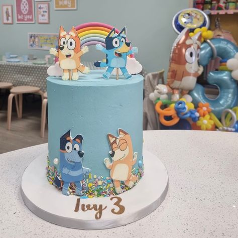 Bluey Abc Kids Cake, Bluey Birthday Cake, Yoda Birthday, Frozen Birthday Party Cake, Balloon Tower, Bluey Party, Abc Kids, Bluey Birthday, Abc For Kids