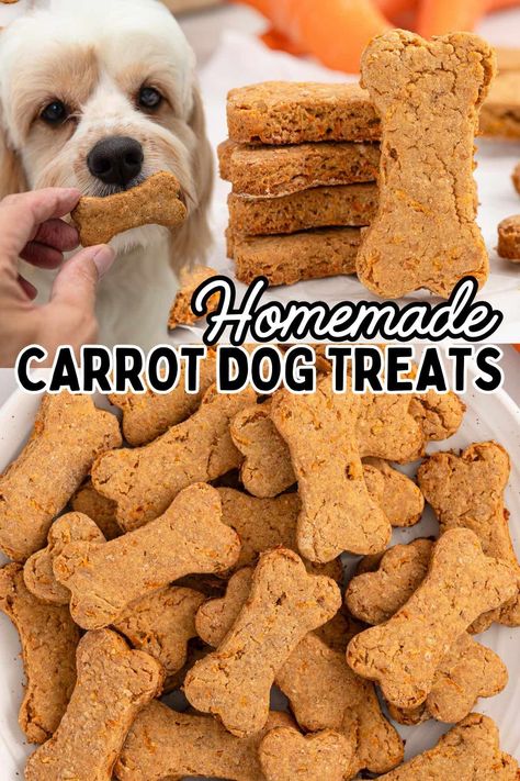 Carrot Dog Treats Carrot Dog Biscuits, Dog Treats Homemade Carrot, Peanut Butter Carrot Dog Treats, Carrot And Pumpkin Dog Treats, Peanut Butter And Carrot Dog Treats, Dehydrated Carrots For Dogs, Homemade Dog Treats With Carrots, Crunchy Dog Treats Recipes, Carrot Treats For Dogs