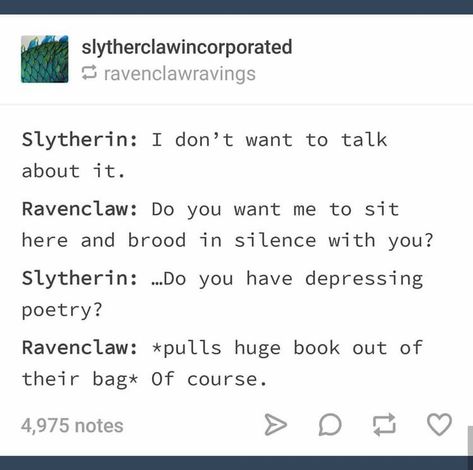 Ravenclaw And Slytherin Friendship, Slytherin Ravenclaw Friendship, Ravenclaw Boyfriend, Slytherin Boyfriend, Ravenclaw And Slytherin Relationship, Ravenclaw X Slytherin, Slytherin X Ravenclaw, Slytherin Friends, Slytherin And Ravenclaw