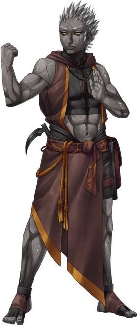 Pathfinder Monk, Earth Genasi, Monk Dnd, Sci Fi Character Art, Pathfinder Character, D D Character Ideas, Fantasy Heroes, Fantasy Races, Martial Artists