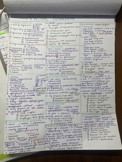 Bio Class 11, Neet Biology Flashcards, Neet Exam Notes, Biology Class 11, Biology Diagrams, Neet Notes, Bio Notes, Learn Biology, Chemistry Basics