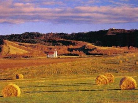 Saskatchewan Aesthetic, Olivia Aesthetic, Canada Saskatchewan, Painting Sky, Canadian Prairies, Land Of The Living, Eagle Painting, Canada Eh, Saskatchewan Canada