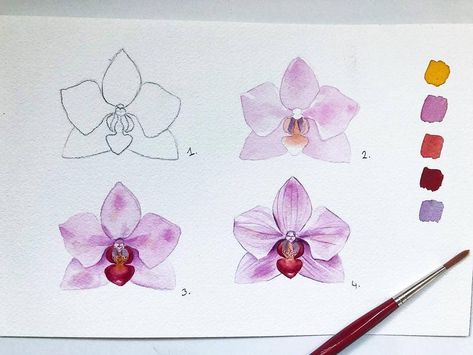 Orchids Watercolor, Orchid Centerpieces Wedding, Hur Man Ritar Blommor, Orchid Flower Tattoos, Orchid Watercolor, Orchid Illustration, Orchid Terrarium, Orchid Drawing, Orchid Wallpaper