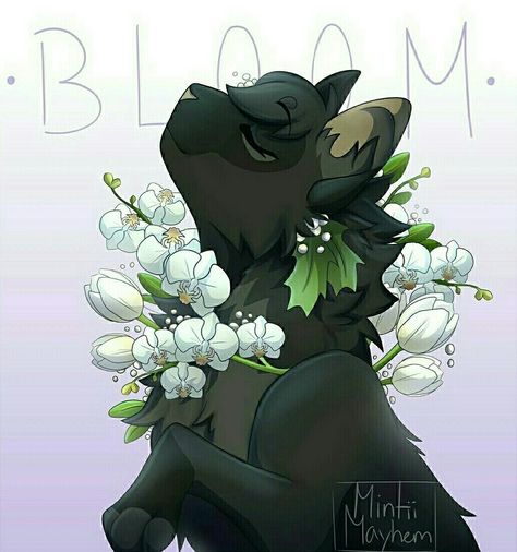 Flower Symbolism, Cats Tumblr, Warrior Cats Fan Art, Warrior Cat Drawings, Warrior Cat Oc, Warriors Cats, Cat Reference, Warrior Cats Art, Cat Pose