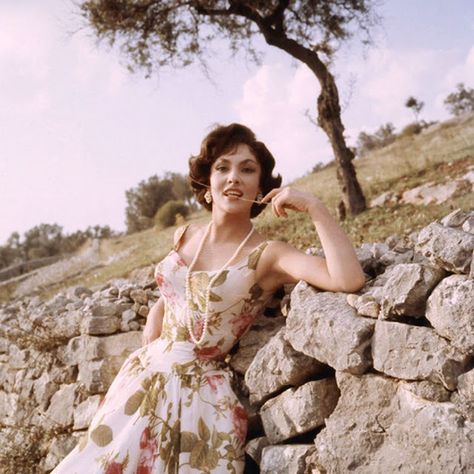 vintage everyday: Gina Lollobrigida: Classic Beauty of the 1950s and the Early 1960s Gene Tierney, Jennifer Coolidge, Gina Lollobrigida, Dark Autumn, Italian Actress, Italian Women, Famous Stars, Penelope Cruz, Monica Bellucci