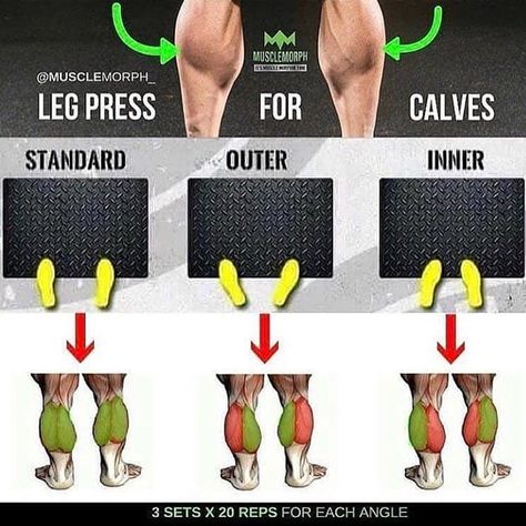 Great post from @musclemorph_ about hitting different areas of your calves using the leg leg press machine.  Tell us your thoughts below if you have tried it and what your results have been like Loss Images, Calf Exercises, Leg Exercises, Weight Training Workouts, Leg Press, Fit Fashion, Body Fitness, Gym Workout Tips, Leg Workout