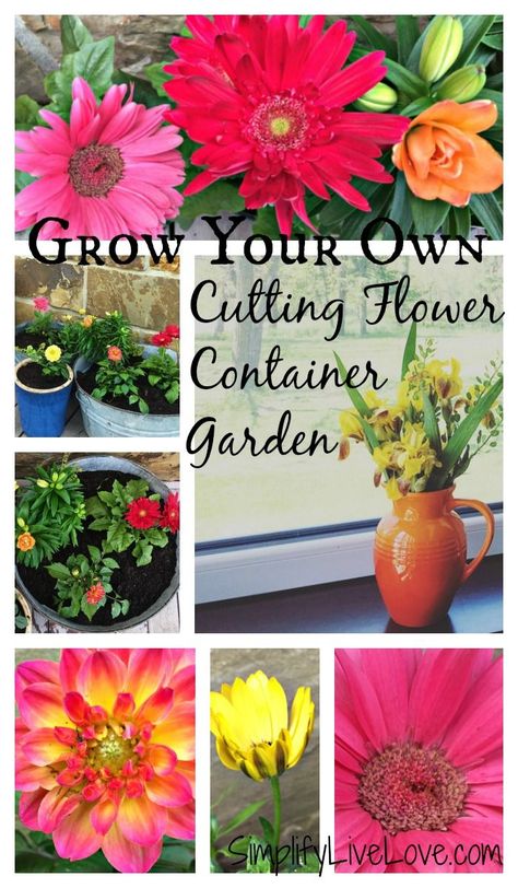 Flower Container Garden, Box Gardens, Garden Bed Plans, Window Box Garden, Diy Landscaping Ideas, Growing Cut Flowers, Organic Gardening Pest Control, Raised Garden Bed Plans, Golden Afternoon