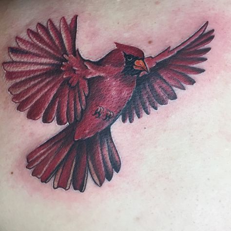 Cardinal tattoo in memory of my Grandmother. Done my Georgina Malloy at Malloy Creations in NH. #cardinal #tattoo #malloycreations #cardinaltattoo Cardinal Chest Tattoo, Cardinal Tattoo Memorial Black And White, Cardinal Tattoo For Men, Flying Cardinal Tattoo, Red Cardinal Tattoos, Cardinal Bird Tattoos, Robin Tattoo, Cardinal Tattoos, Stylish Tattoo