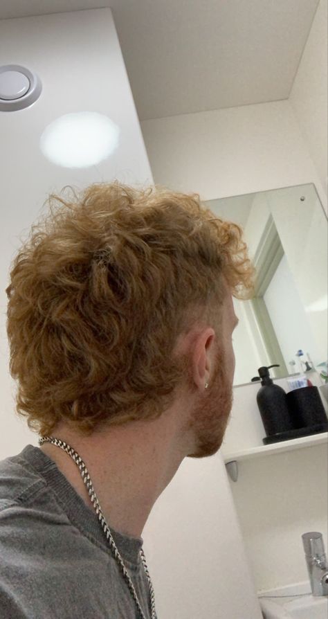 Ginger Mullet Man, Modern Mullets, Ginger Hair Men, Light Curls, Men Haircut Curly Hair, Salt And Pepper Hair, Mullet Haircut, Creative Hair Color, Shaggy Haircuts