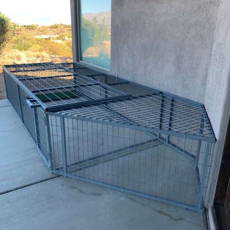 Reviews - Coyote Proof Dog Runs Dog Run, Dog Runs, Sedona, Custom Dog, Fence, Home Sweet Home, Sweet Home, Running, Building