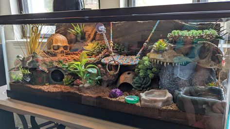 Cute Snake Enclosure, Tokay Gecko Enclosure, African Fat Tailed Gecko Enclosure, Corn Snake Cage Ideas, Bio Active Leopard Gecko Tank, Blue Tounged Skink Enclosure, Leopard Gecko Bioactive Tank, Snake Cage Ideas, Snake Enclosure Ideas Diy