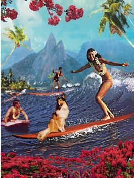 Vintage Hawaiian poster - love the way they took Lassie along with them.  Good girl, Lassie! Vintage Hawaii Photography, Mai Kai, Hawaii Pattern, Vintage Surfing, Hawaii Vintage, Surfer Girls, Class Poster, Hawaii Art, Tiki Art