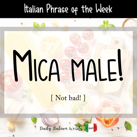 Italian Phrase of the Week: Mica male! (Not bad!) - Daily Italian Words Cool Italian Words, Italian Learning, Italian Grammar, Italian Vocabulary, Italian Lessons, Italian Language Learning, Learn Italian, Italian Phrases, Italian Quotes