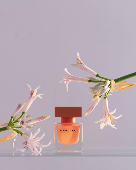 Laure Sée (@laure_see) posted on Instagram: “@narciso_rodriguez with @tara_msellati_flowers 🧡 . . . . #lauresee #photography #artoftheday #photooftheday #contemporaryart #stilllife…” • Feb 17, 2021 at 6:28pm UTC Narciso Perfume, Perfume Orange, Amber Perfume, Fragrance Photography, Flower Perfume, Perfume Photography, Modern Magic, Beauty Products Photography, Still Photography